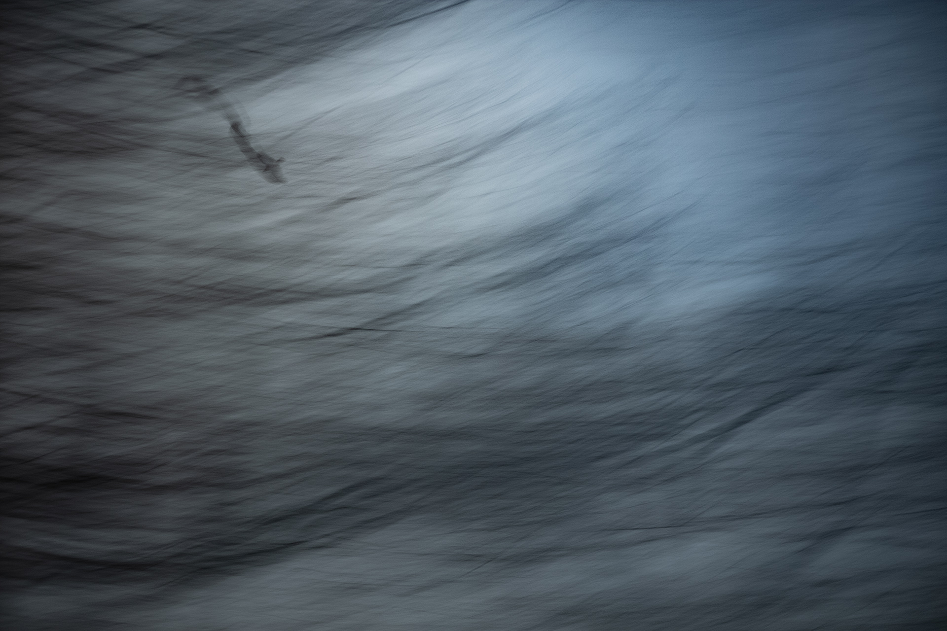 Stuttgart, Rosensteinpark