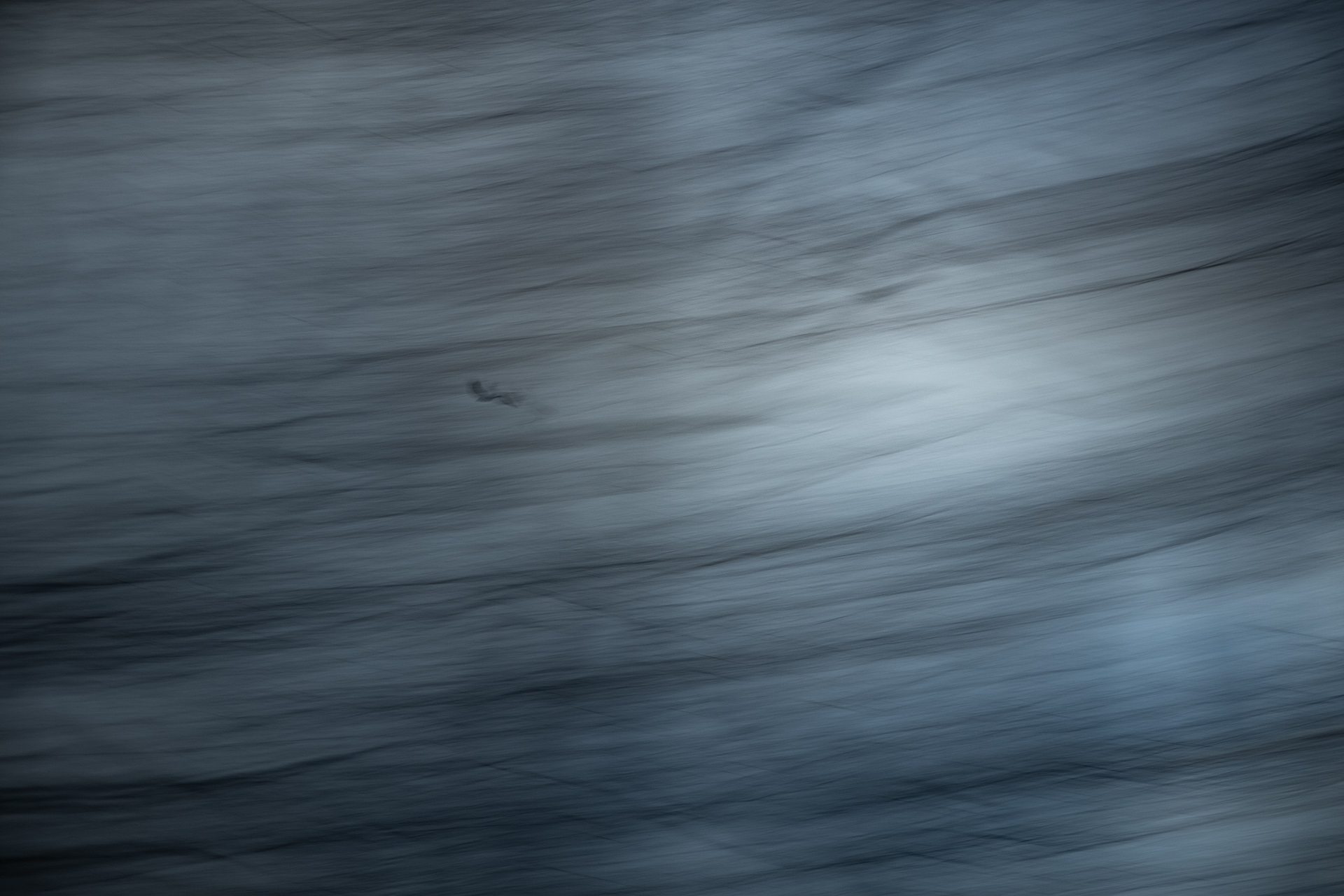 Stuttgart, Rosensteinpark