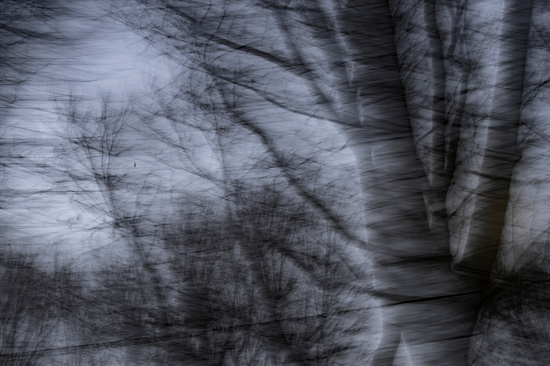 Bad Cannstatt, Stadion