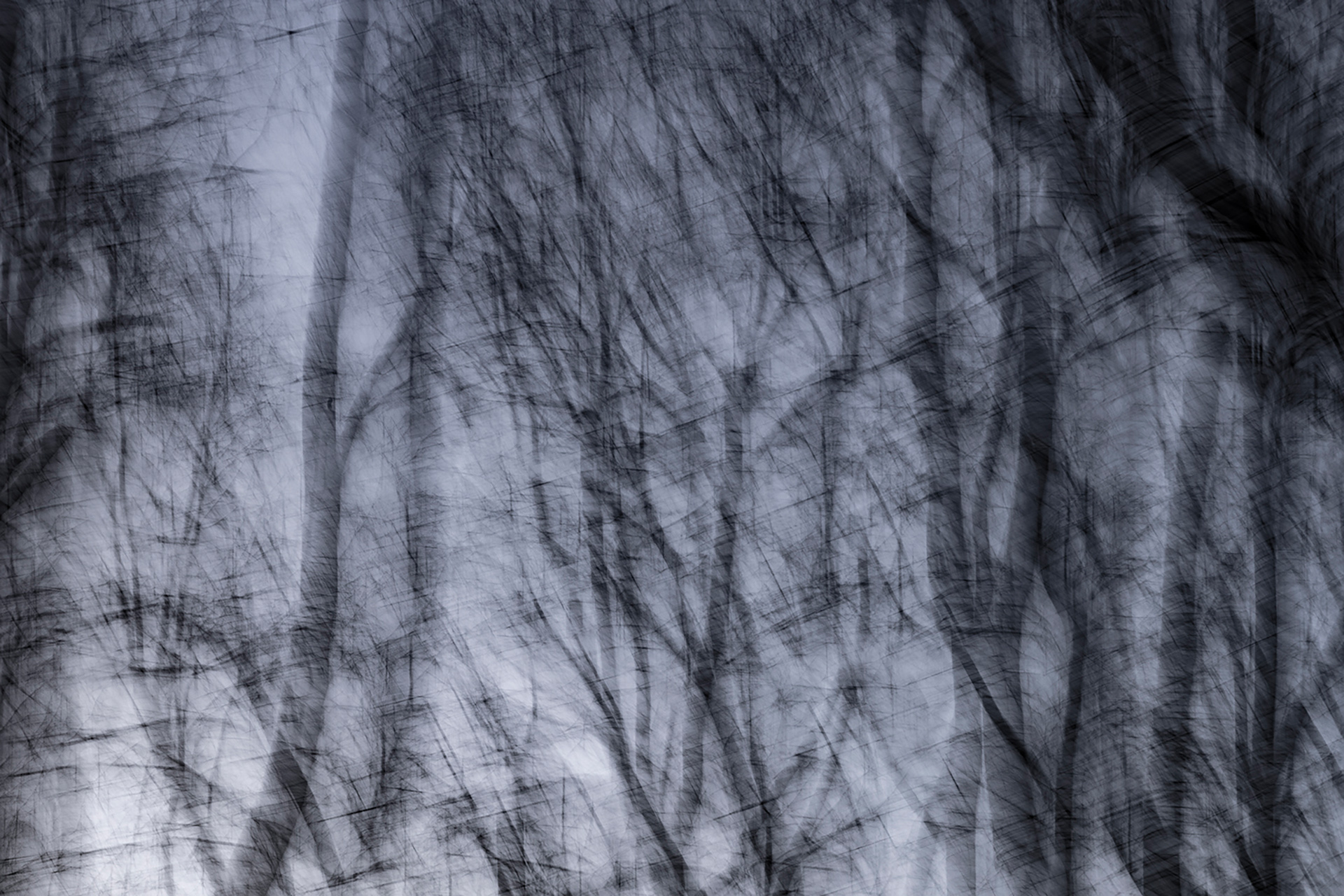 Bad Cannstatt, Stadion