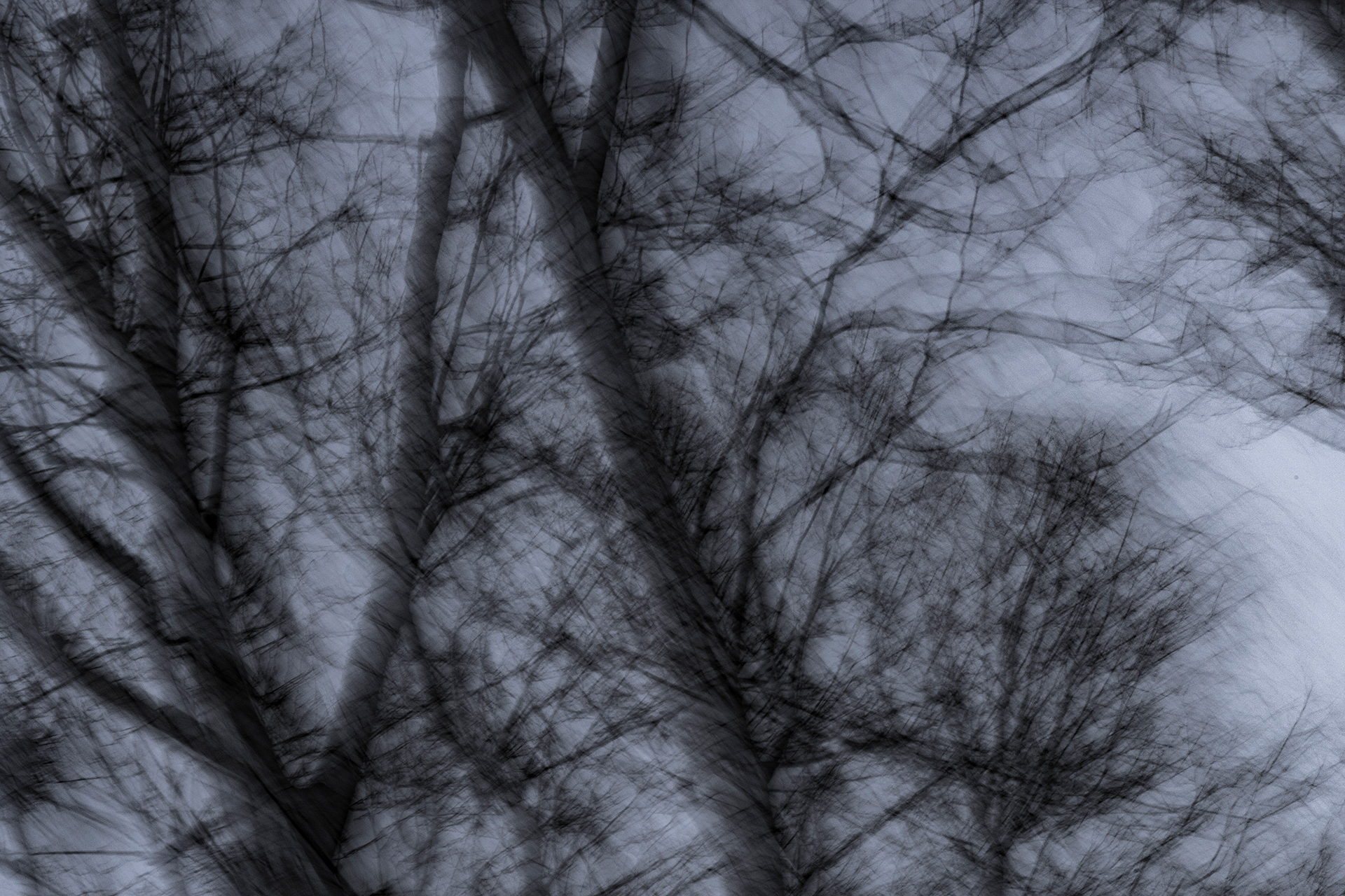 Bad Cannstatt, Stadion